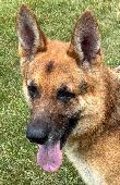 32 GSD #1